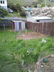 Pegging out the new chook house