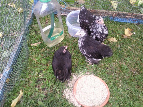 Photo479