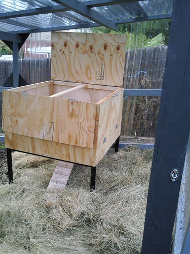 Ready for chickens