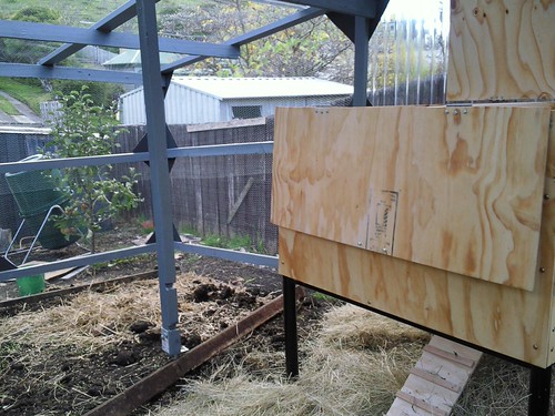 Ready and waiting for the chickens