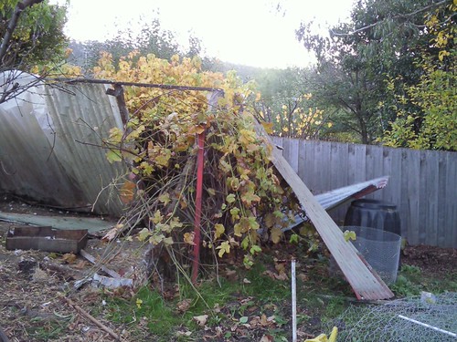 Old Chicken Shed demolition