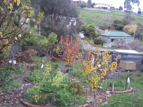 Autumn colours