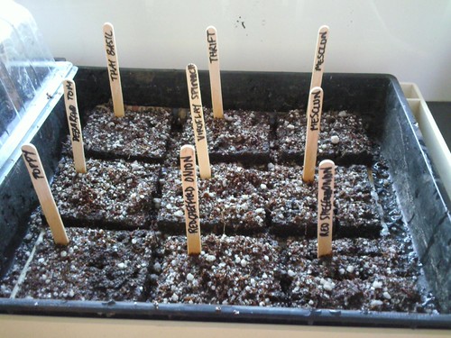 Planting 2 October