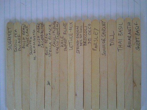 Planting 30/12/2011