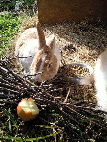 Dutchy taking a leisurely approach to her work
