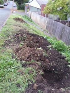 Holes for Fruit Trees on the Back Nature Strip