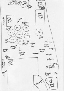 Plan of Plantings